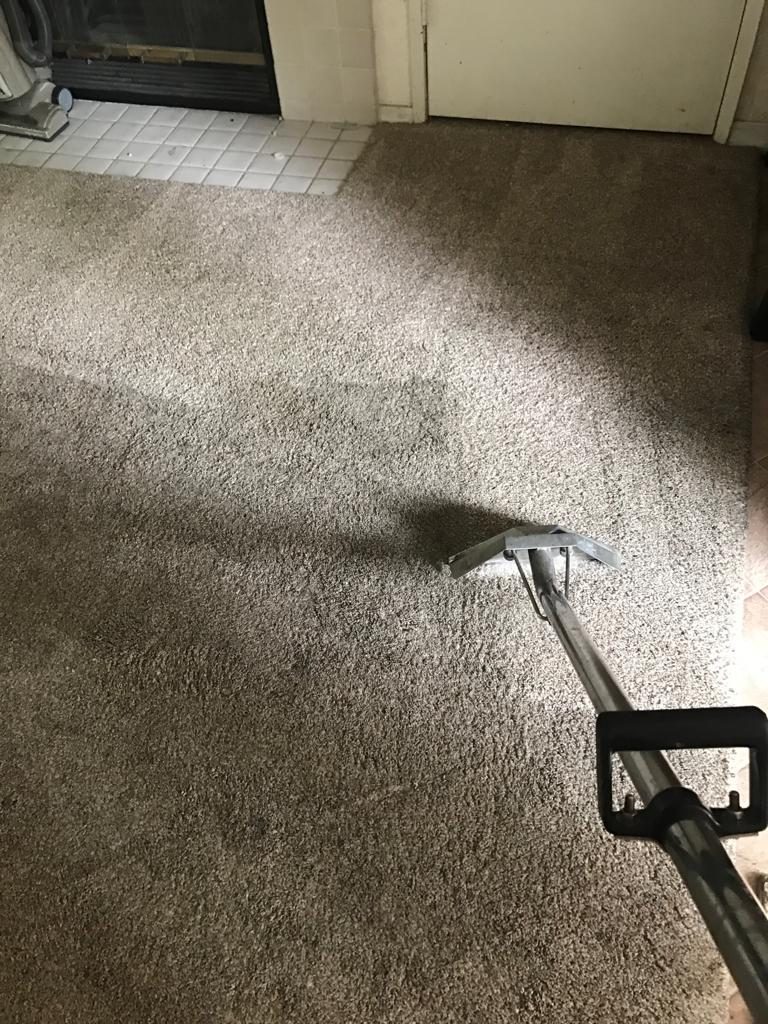 Carpet Cleaning in Mission Viejo, California.